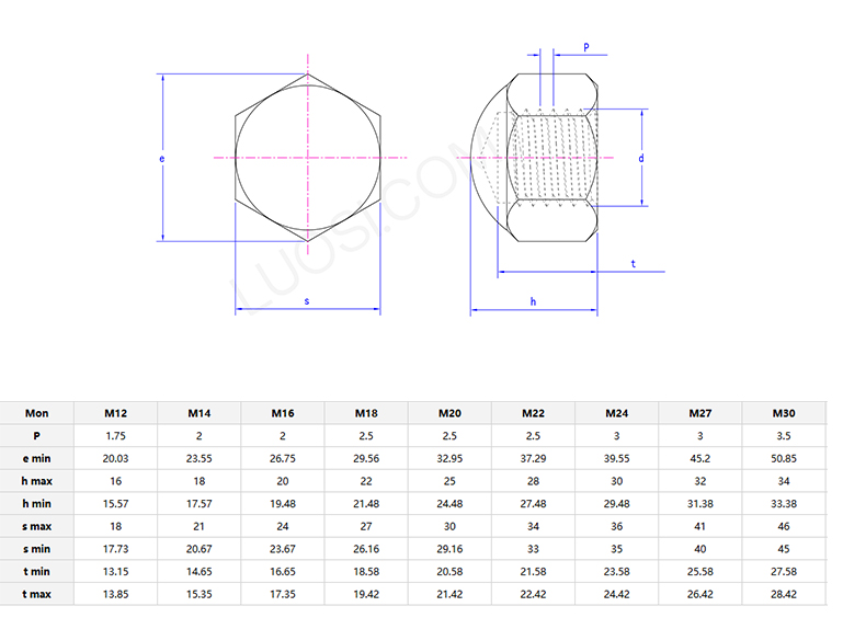 Hexagon cap nuts low type