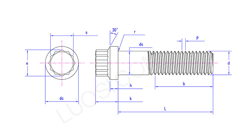 12 Spline Flange Screw