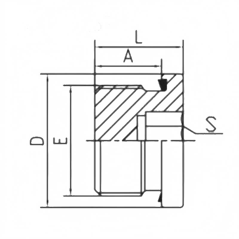 BSP Male Captive Seal Hollow Plug